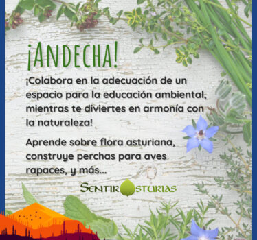 ¡Andecha! – En armonía con la naturaleza