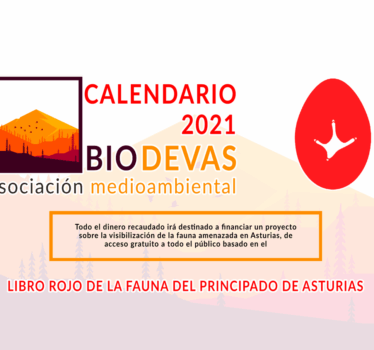 ¡Tenemos calendario!
