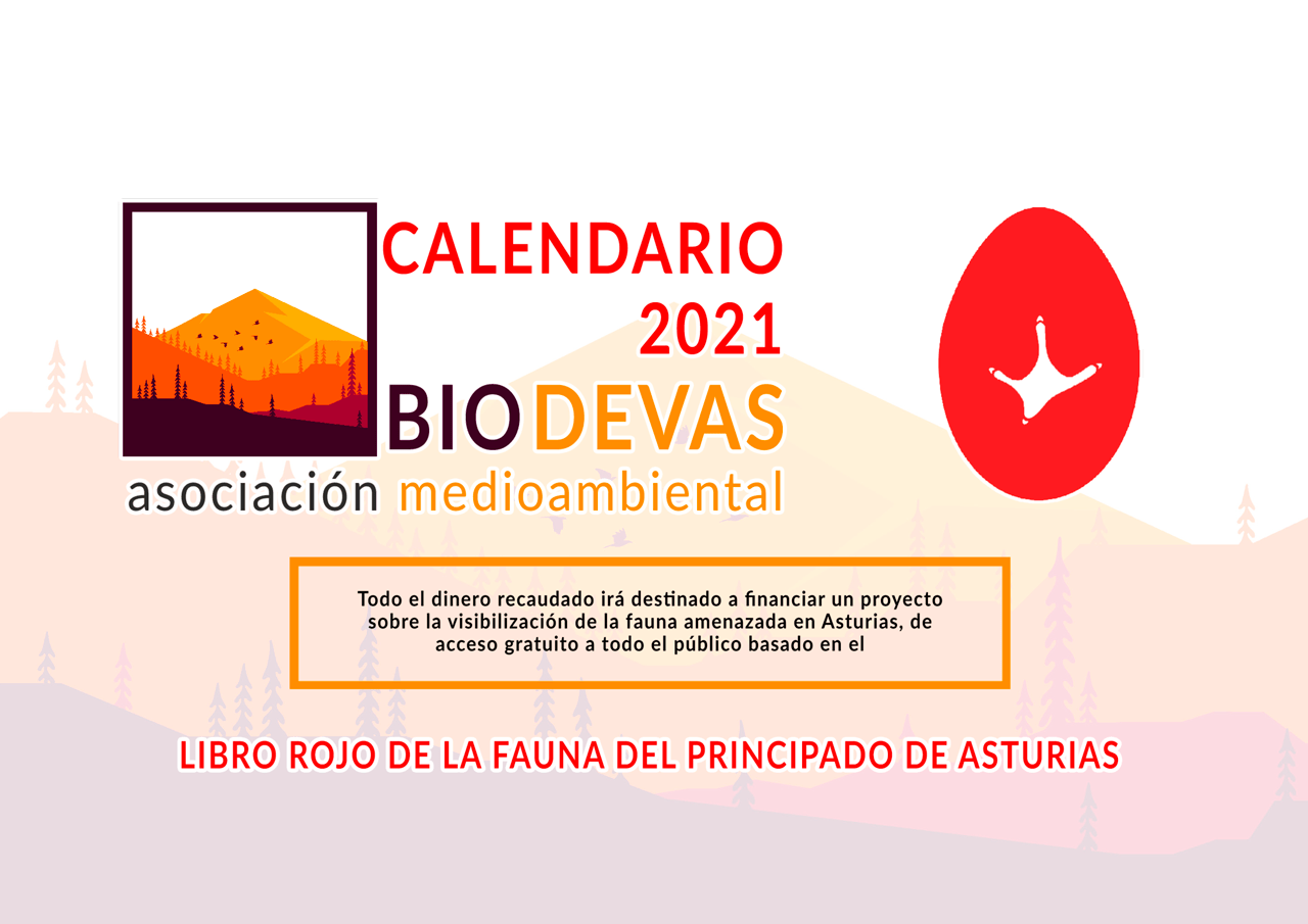 ¡Tenemos calendario!
