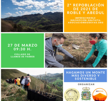 ¡Repoblemos nuestros montes! – Segunda plantación