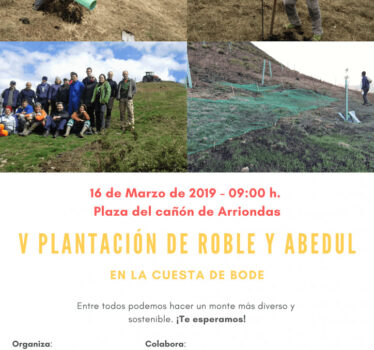 Reforestación con árbol autóctono en Arriondas – 16 de Marzo