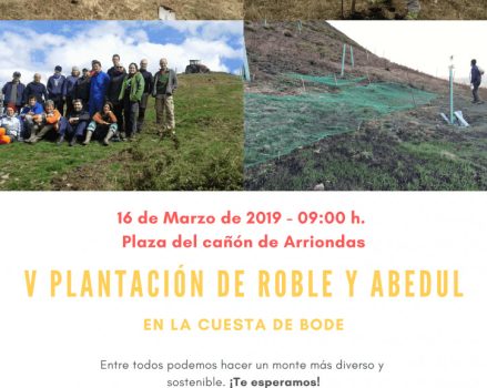 Reforestación con árbol autóctono en Arriondas – 16 de Marzo