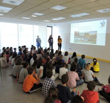 Comienza la migración de origamis a Doñana