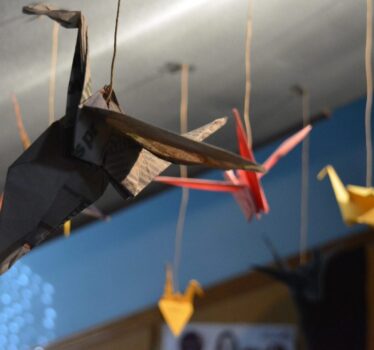 Migración de origamis. Galería de imágenes y agradecimientos.