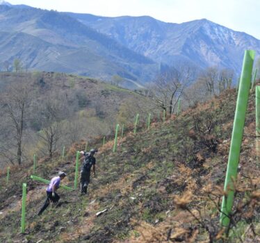 Sumando árboles – Describimos la jornada del sábado con Proyecto Roble