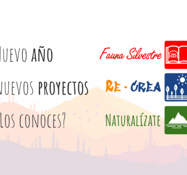 Queremos conocerte y presentarte los proyectos para 2021