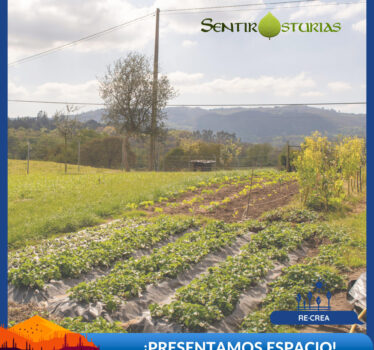 ¡Presentamos un nuevo espacio! ¿Vienes?