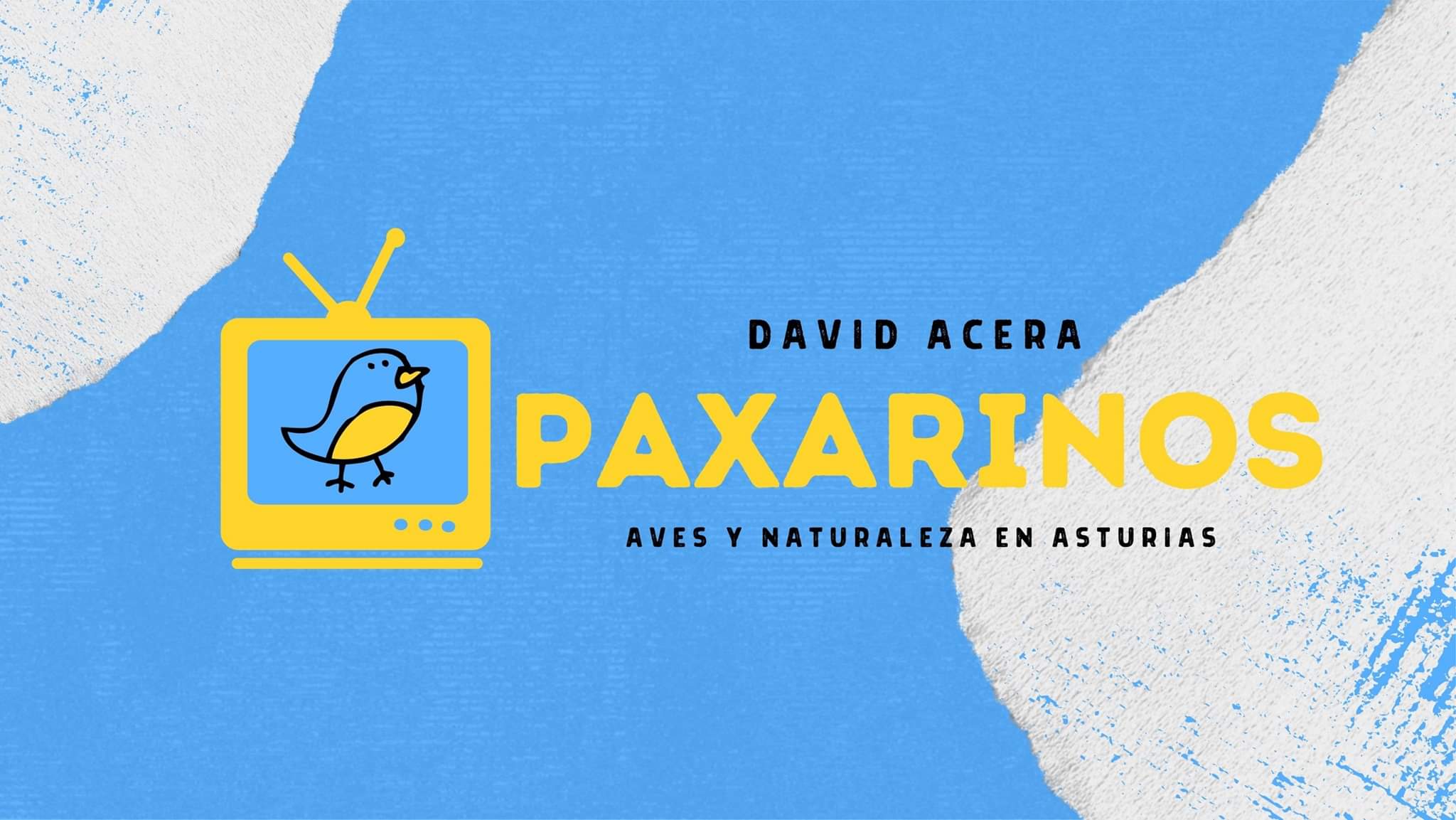 Biodevas apoya el proyecto ‘Paxarinos TV’