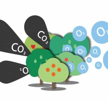 Cómo ayudar al medioambiente