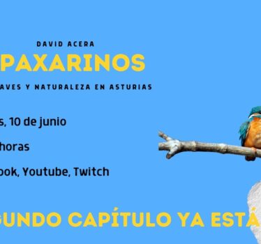 Segundo programa de Paxarinos TV
