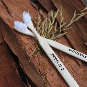 Cepillo de dientes de caña de trigo "Biodevas"
