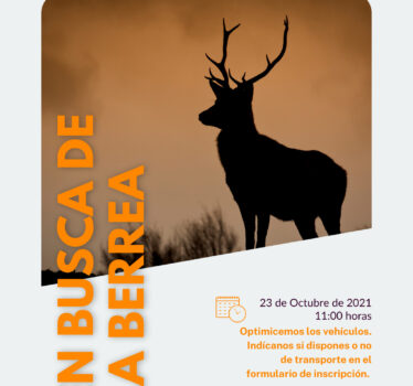 En busca de la berrea – Ruta en el parque natural de Redes