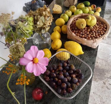 Huerta el Triángulo – ¡Nuevos colaboradores!