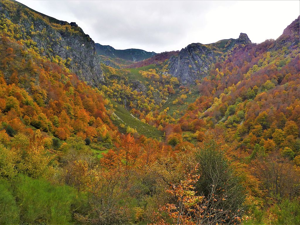 Parque Natural de Redes Asturias Spain