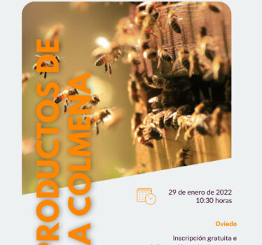 Taller Productos de la colmena