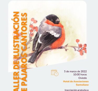 Taller de ilustración de pájaros cantores