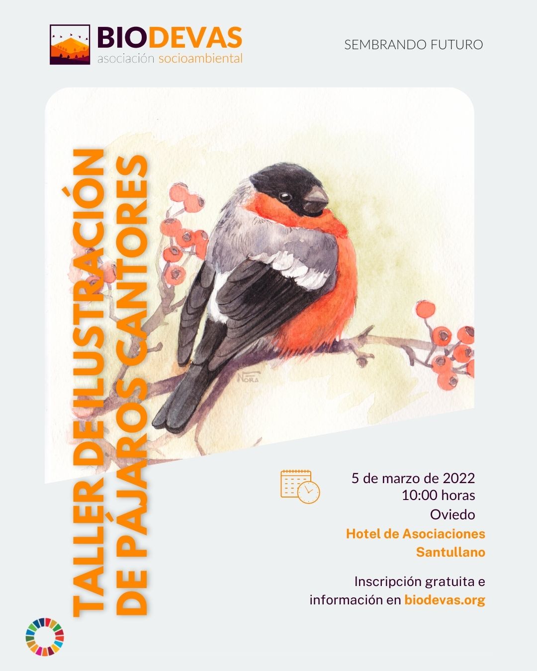 Taller de ilustración de pájaros cantores