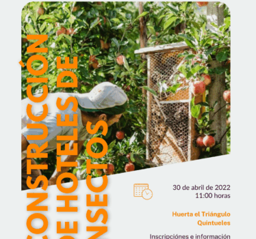 Construye tu hotel de insectos