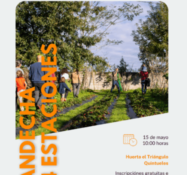 Andecha 4 estaciones