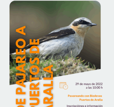 Pajareando a Puertos de Aralla