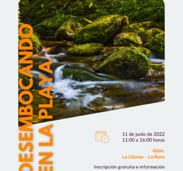 Desembocando en la playa