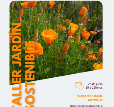 Taller Jardín sostenible