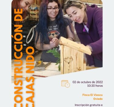 Taller de cajas nido, en Oviedo