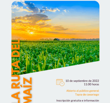 La ruta del maíz