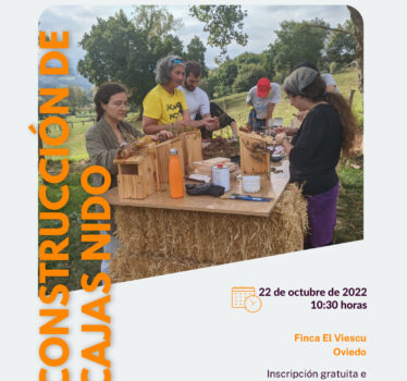 ¡Volvemos a realizar el taller de cajas nido!