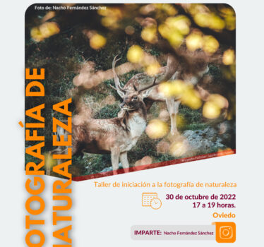 Taller de iniciación a la fotografía de naturaleza