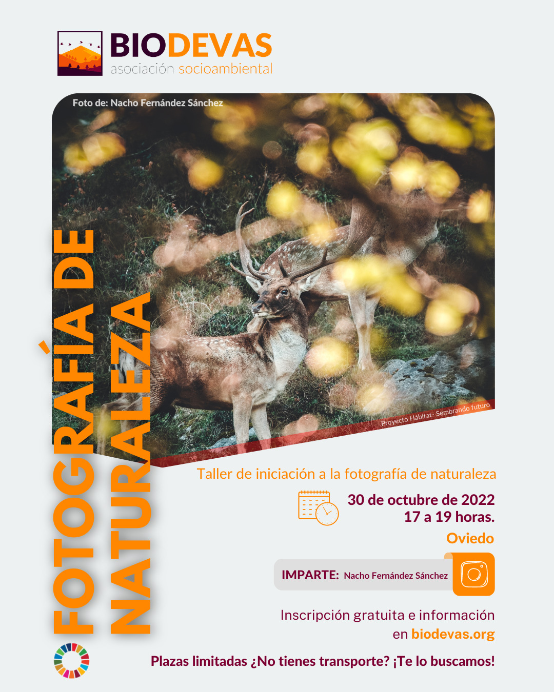 Taller de iniciación a la fotografía de naturaleza