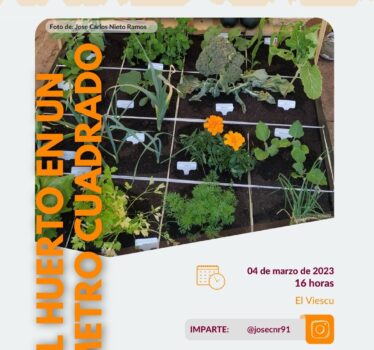 Actividad – El huerto en un metro cuadrado