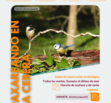 Paxareando en La Cebera