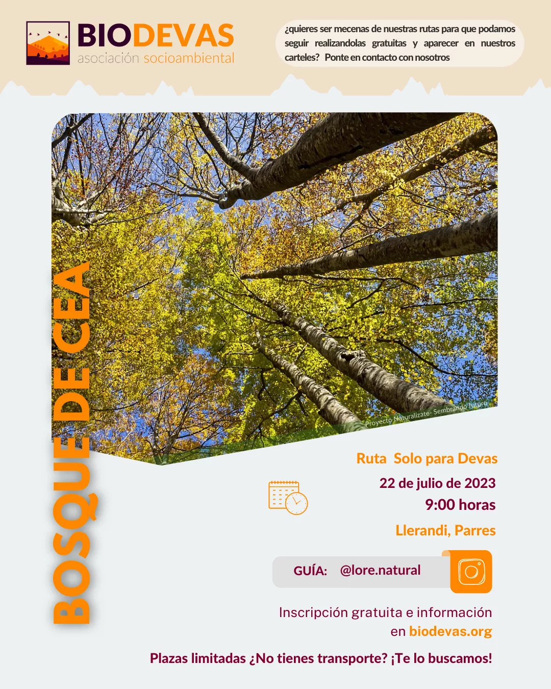 Bosque de Cea