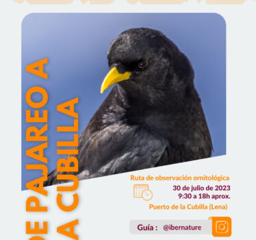 De pajareo a la Cubilla