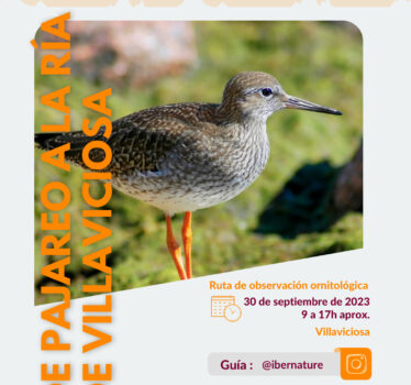 De pajareo a la ría de Villaviciosa