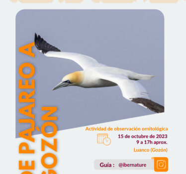 De pajareo a Gozón