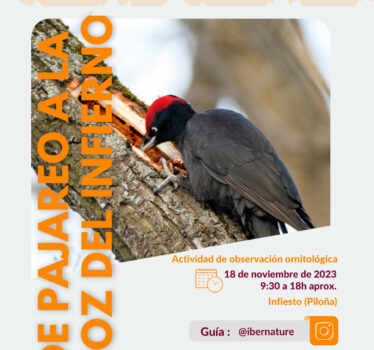 De pajareo a la Foz del Infierno