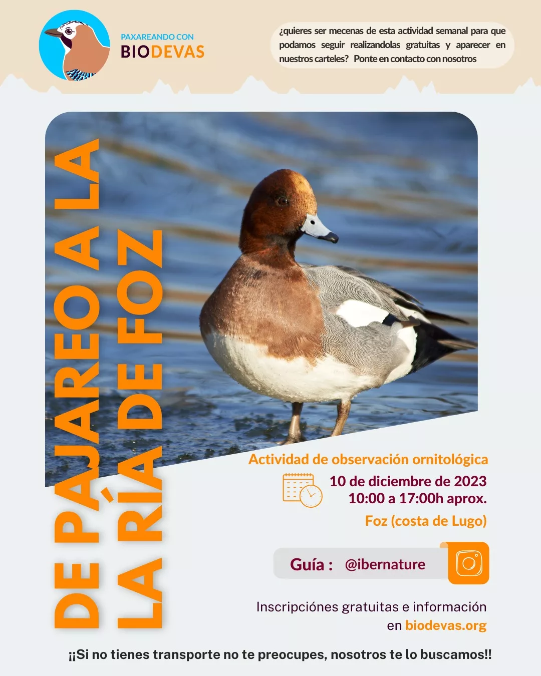 De pajareo a la Ría de Foz.