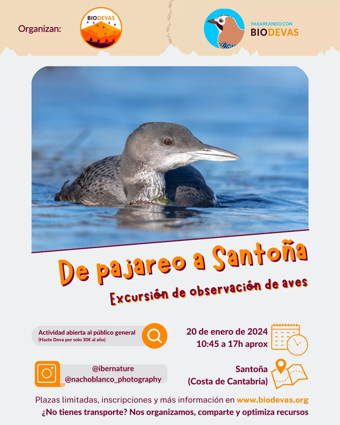 De pajareo a Santoña.