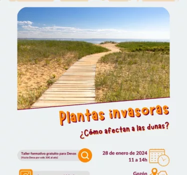 Plantas invasoras. ¿Cómo afectan a las dunas?