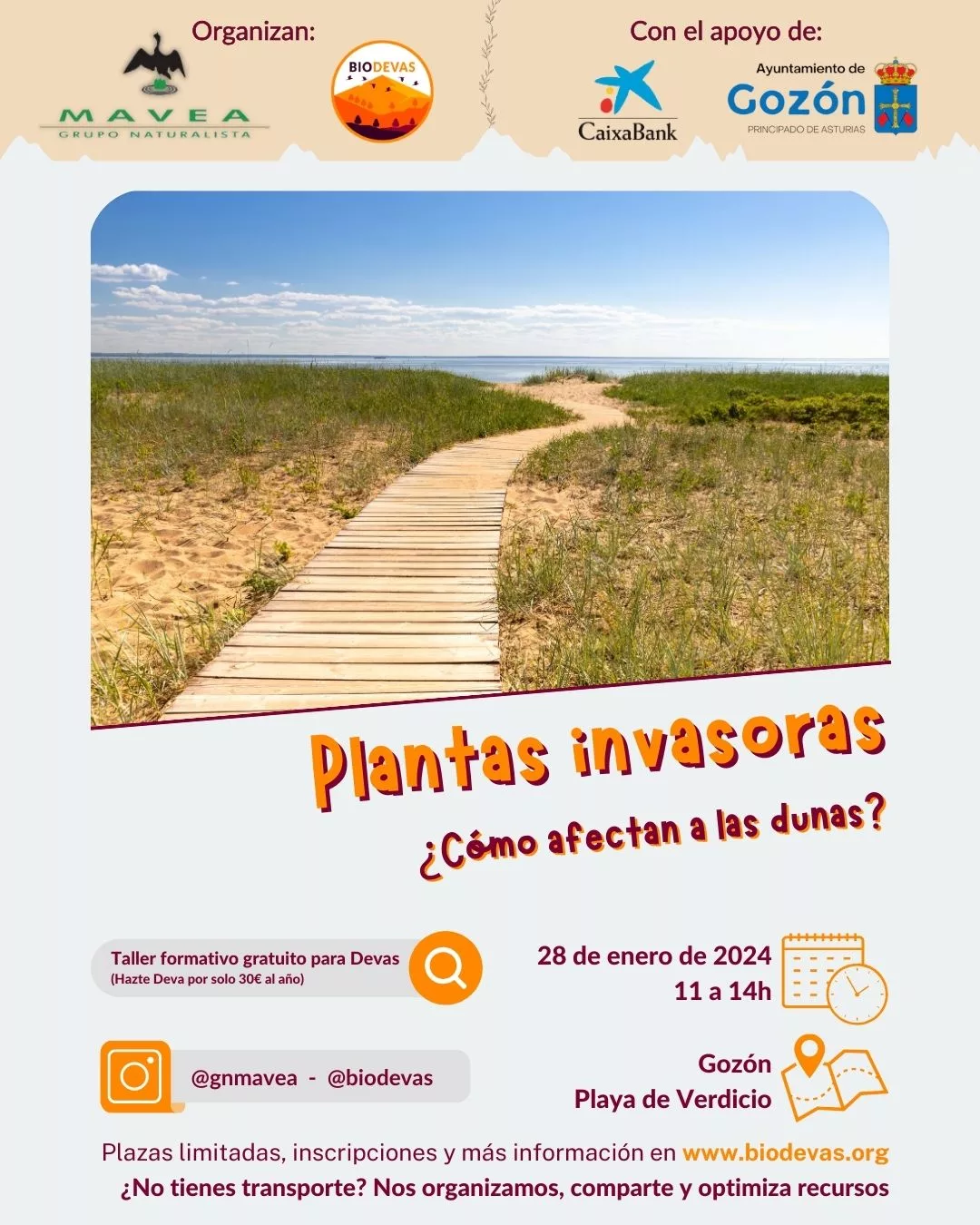 Plantas invasoras. ¿Cómo afectan a las dunas?