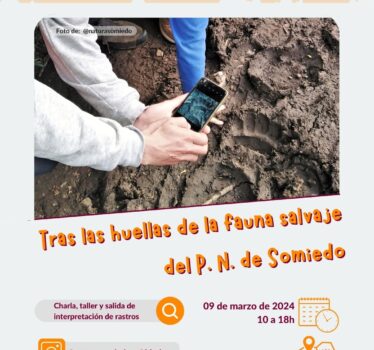 Tras las huellas de la fauna salvaje del P. N. de Somiedo