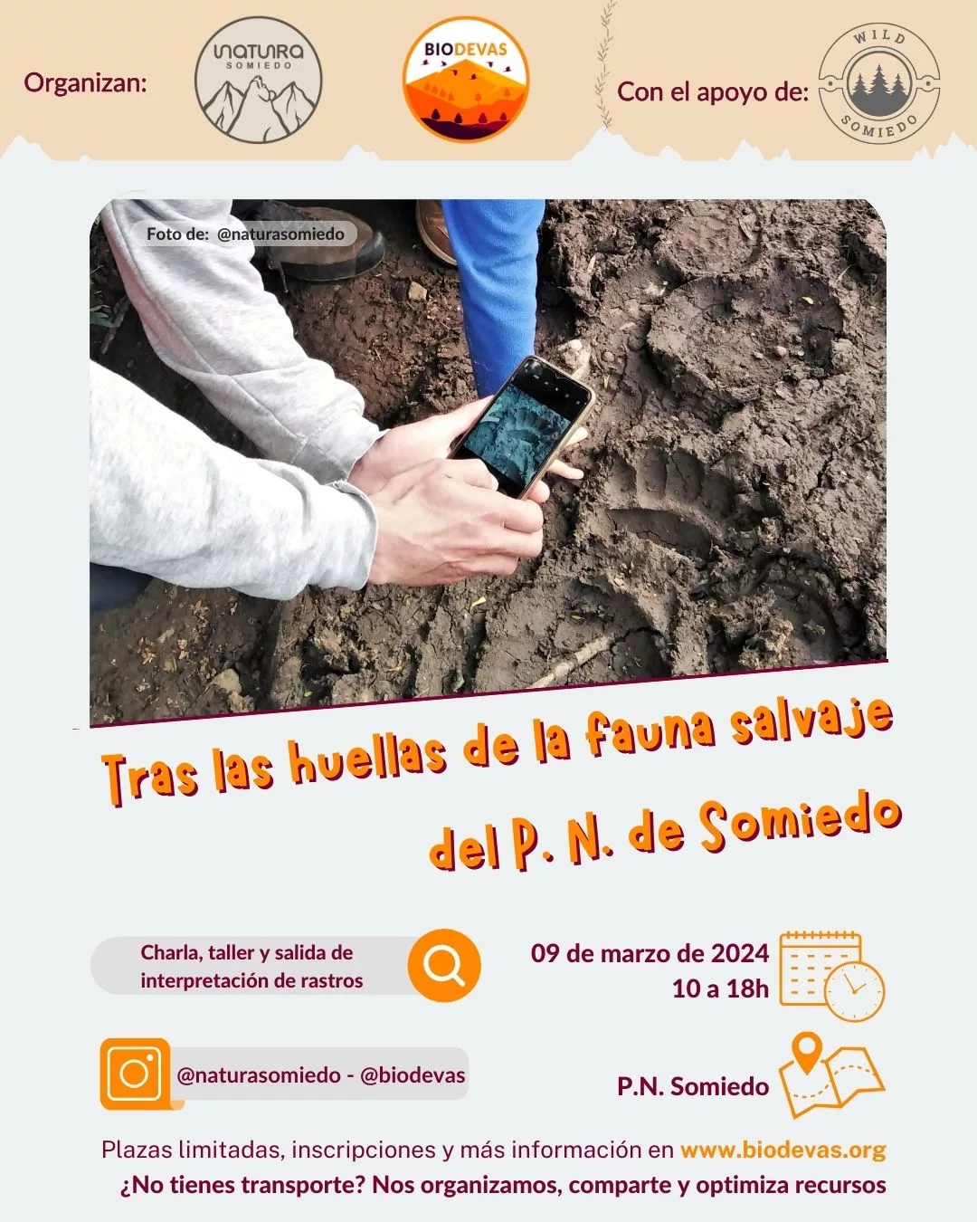 Tras las huellas de la fauna salvaje del P. N. de Somiedo