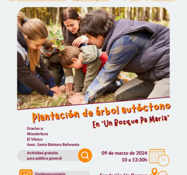 Plantación de árbol autóctono en Un Bosque pa’María