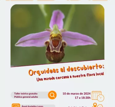 Orquídeas al descubierto: Una mirada cercana a nuestra flora local