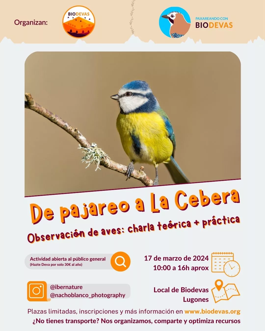 De pajareo a La Cebera.