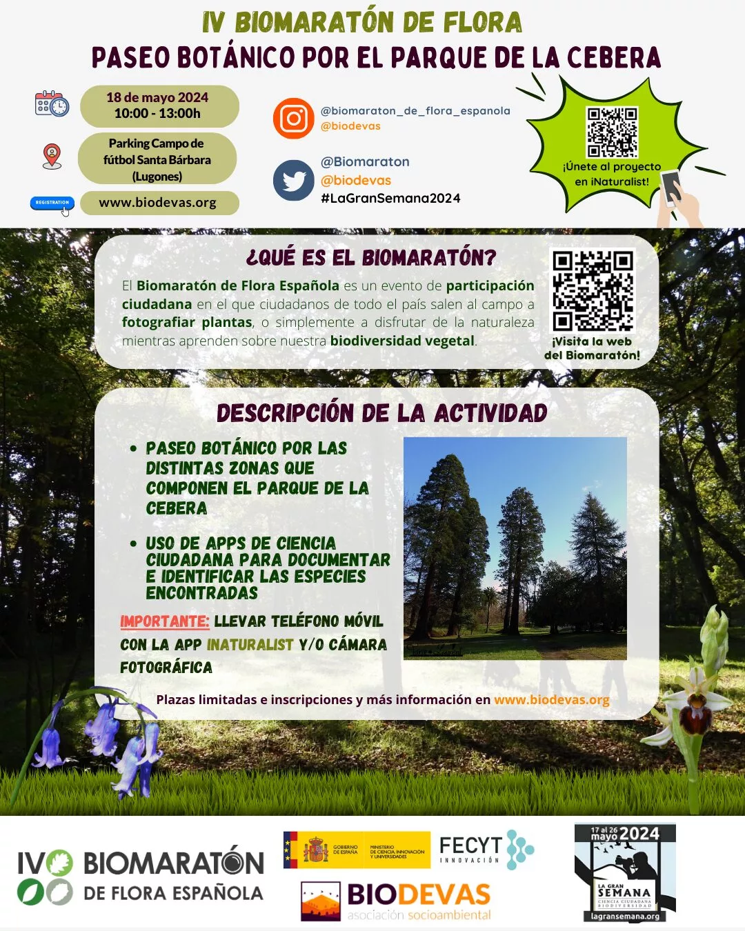Paseo botánico por el parque de la Cebera. IV Biomaratón de flora.