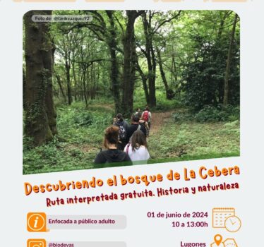 Descubriendo el bosque de La Cebera