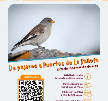 De pajareo a Puertos de la Ballota